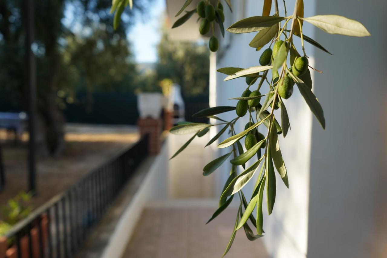 Olive&Sea Villa-Sea Mattinata Buitenkant foto
