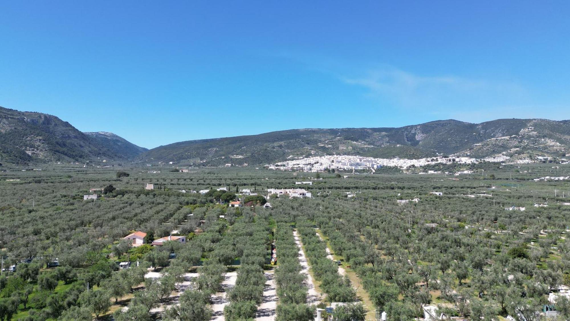 Olive&Sea Villa-Sea Mattinata Buitenkant foto