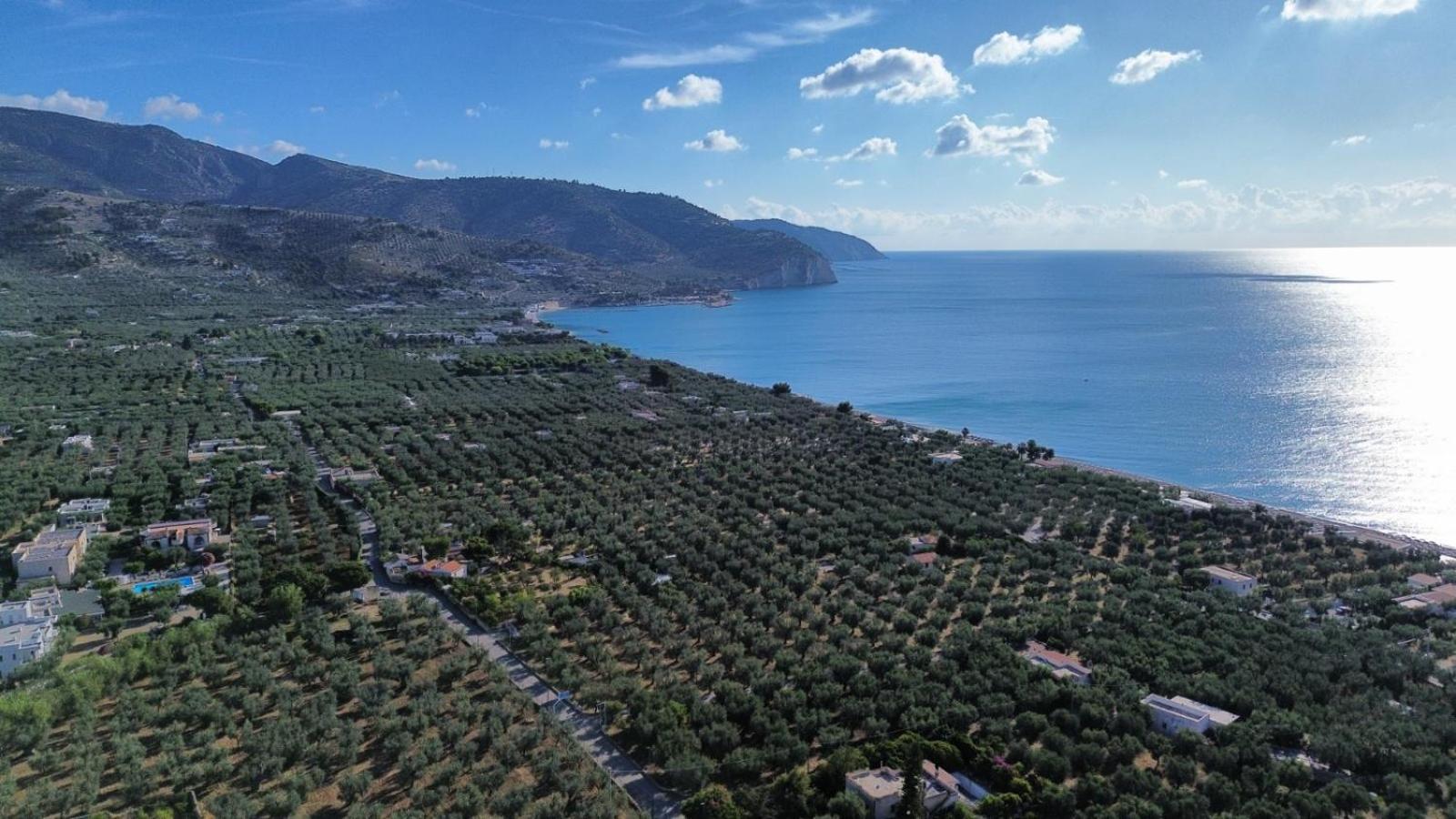 Olive&Sea Villa-Sea Mattinata Buitenkant foto